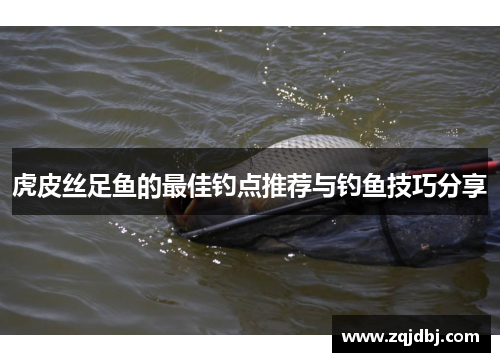 虎皮丝足鱼的最佳钓点推荐与钓鱼技巧分享
