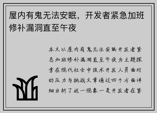 屋内有鬼无法安眠，开发者紧急加班修补漏洞直至午夜